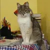 Отзыв от Карина Баженова